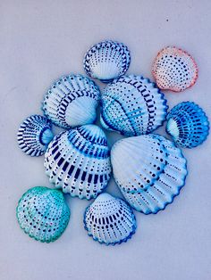 several seashells are shown on a white surface with blue and pink colors in the background