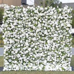 white flowers are growing on the side of a building in front of a fence and grass area