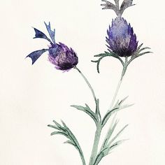 watercolor painting of purple flowers on white paper