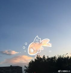 an image of a fish in the sky