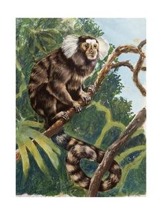 a painting of a monkey on a tree branch