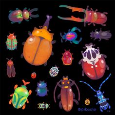 an assortment of colorful bugs on a black background