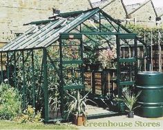 a green house with lots of plants in it