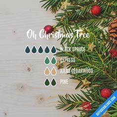 Christmas Tree Essential Oil, Black Spruce, Yl Oils, Oh Christmas Tree, Aromatherapy Blends, Diffuser Blend, Diffuser Recipes