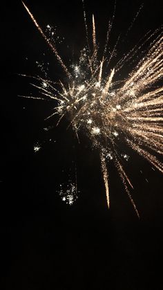 fireworks are lit up in the dark sky with no people around them or onlookers