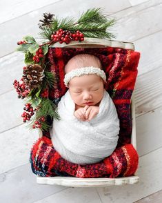 a newborn baby is wrapped in a blanket and surrounded by pine cones, holly wreaths and red berries