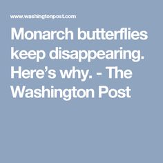 monarch butterflies keep disappearing here's why the washington post is