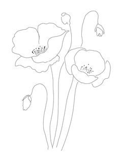 three flowers are shown in black and white, with one flower on the left side