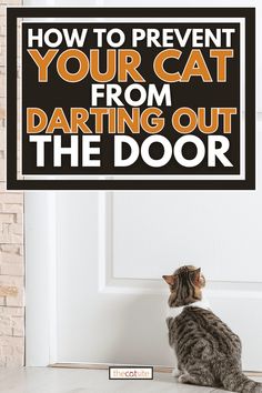 a cat sitting in front of a door with the words how to prevent your cat from daring out the door