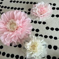 three pink and white flowers sitting on top of a black and white polka dot tablecloth