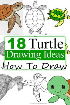 Whimsical Turtle Art, How To Draw A Turtle Step By Step, Sea Turtle Drawing Sketches, How To Draw A Turtle, Drawing Ideas Turtle, How To Draw Turtle, Turtles Drawing, Draw Turtle