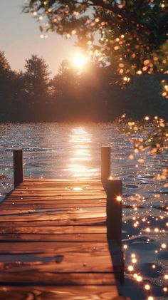 the sun shines brightly through the trees as it reflects in the water on a dock