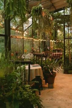 an outdoor dining area with potted plants and tables