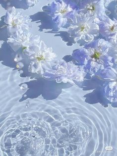 blue flowers floating in water with ripples