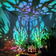 a room that has some plants on the table in front of it and a light shining through the window