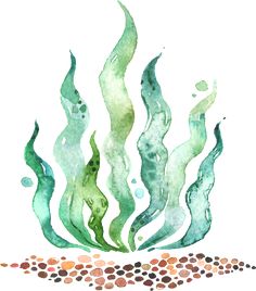 watercolor painting of seaweed and pebbles