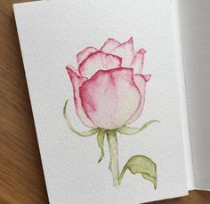 a watercolor painting of a pink rose on white paper next to an open book