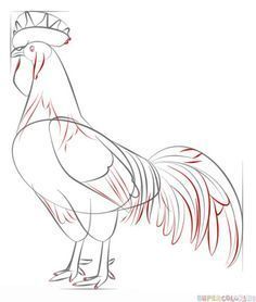 how to draw a rooster step by step