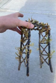 someone is holding two sticks with plants growing out of the top and bottom of them