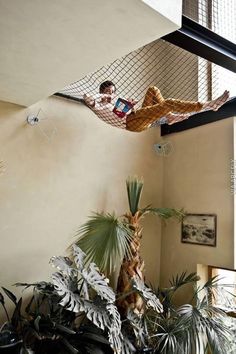 two people are laying in hammocks on the ceiling above a houseplant