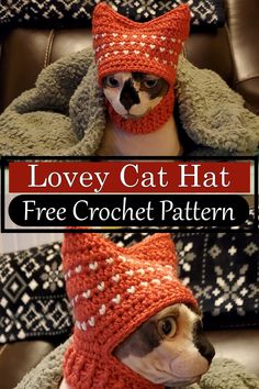 a cat wearing a knitted hat and scarf with the caption lovely cat hat free crochet pattern