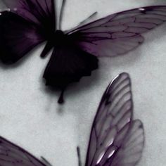 three purple butterflies sitting next to each other on a white surface with one black butterfly in the middle