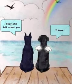 two cats and a dog sitting on a dock looking at the ocean with speech bubbles above them