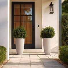 two potted plants sitting in front of a door on the side of a house