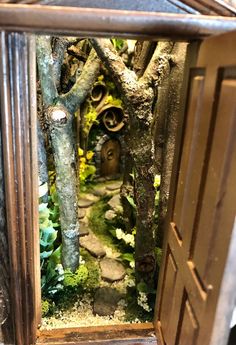 an open door to a miniature garden with rocks and trees