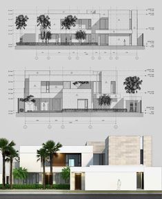 two architectural drawings showing different sections of a building and palm trees in front of them