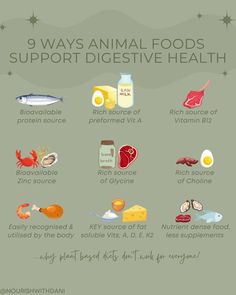 an info sheet describing the different foods that are in each animal's food groups