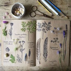 an open notebook with dried flowers and plants on it next to some scissors, rocks and pencils