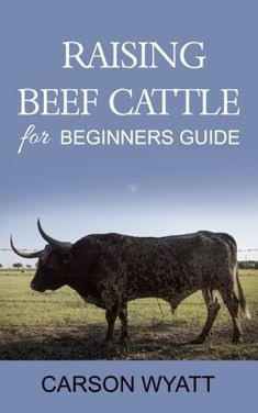 the cover of raising beef cattle for beginners guide, with an image of a cow in