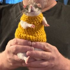 a person holding a rat in a knitted sweater