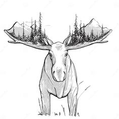 a moose with antlers on it's head and trees in the background