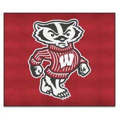 the wisconsin badger mascot is running with his hands in his pockets and wearing a red sweater