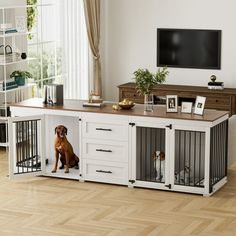 a dog is sitting in his kennel and looking at the television on the wall