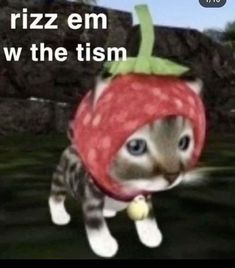 a cat wearing a strawberry hat and holding a tennis ball in it's mouth