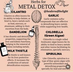 How to Heavy Metal Detox Naturally & Safely Heavy Metal Detoxification Herbs, Herbs To Remove Heavy Metals, Remove Metal Toxins, Signs Of Heavy Metal Toxicity, Herbs For Detoxing, Metal Detox Cleanse, Heavy Metal Detoxification Bath, Heavy Metal Detox Bath, Heavy Metal Cleanse