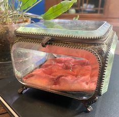 a glass container with food inside sitting on a table next to a potted plant