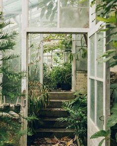 an open door leading to a green house with lots of plants in the doorways