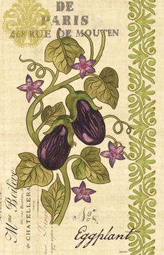 an illustration of two eggplant plants with purple flowers and green leaves on a cream background