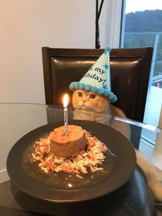 a cat wearing a birthday hat sitting in front of a cake with a lit candle