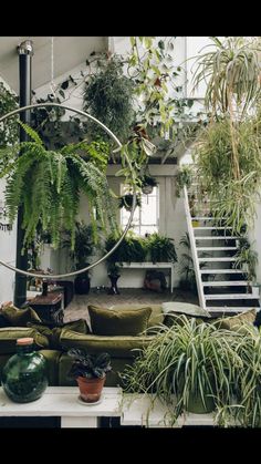 a living room filled with lots of plants next to a stair case full of potted plants