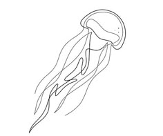 a drawing of a jellyfish