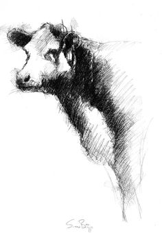 a black and white drawing of a cow