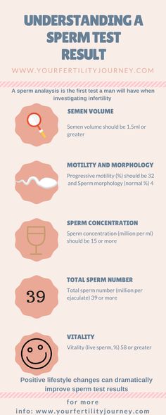 an info sheet describing the different types of teeth and how they are used for dental care