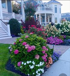 the front yard is full of colorful flowers and shrubs, including hydrangea's