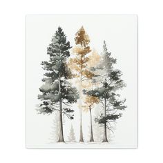 three trees in the snow on a white background