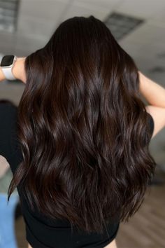 Dark Chocolate Brown Hair No Highlights, Dark Cool Toned Hair, Black Hair To Brown, Black Hair With Auburn Balayage, Medium Length Chocolate Brown Hair, Natural Hair Dye Ideas For Black Hair, Heavy Balayage On Dark Hair, Wood Brown Hair